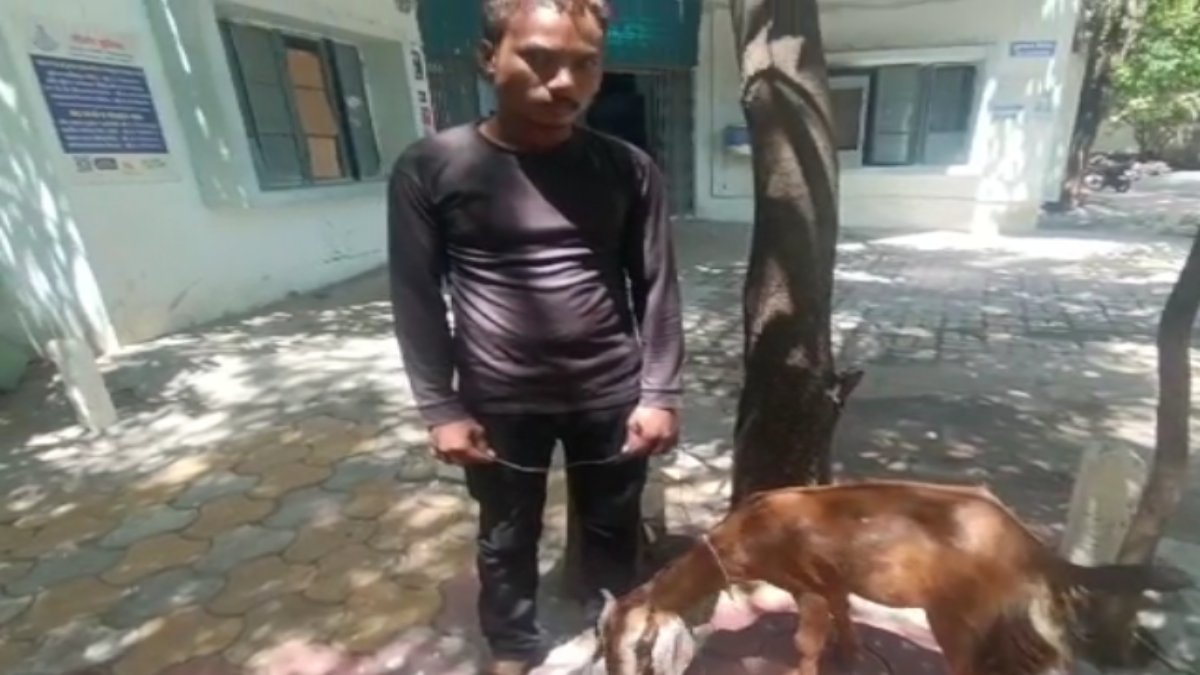 इंसान बना हैवानः दो दरिंदों ने बकरी को बनाया हवस का शिकार, धारा 377 के तहत केस दर्ज, पुलिस तलाश में जुटी