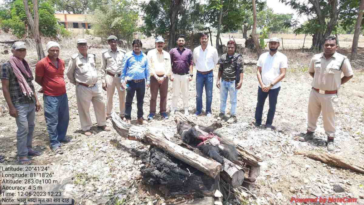 CG BREAKING : जंगल में मिला भालू का शव, आपसी द्वंद के चलते हुई मौत