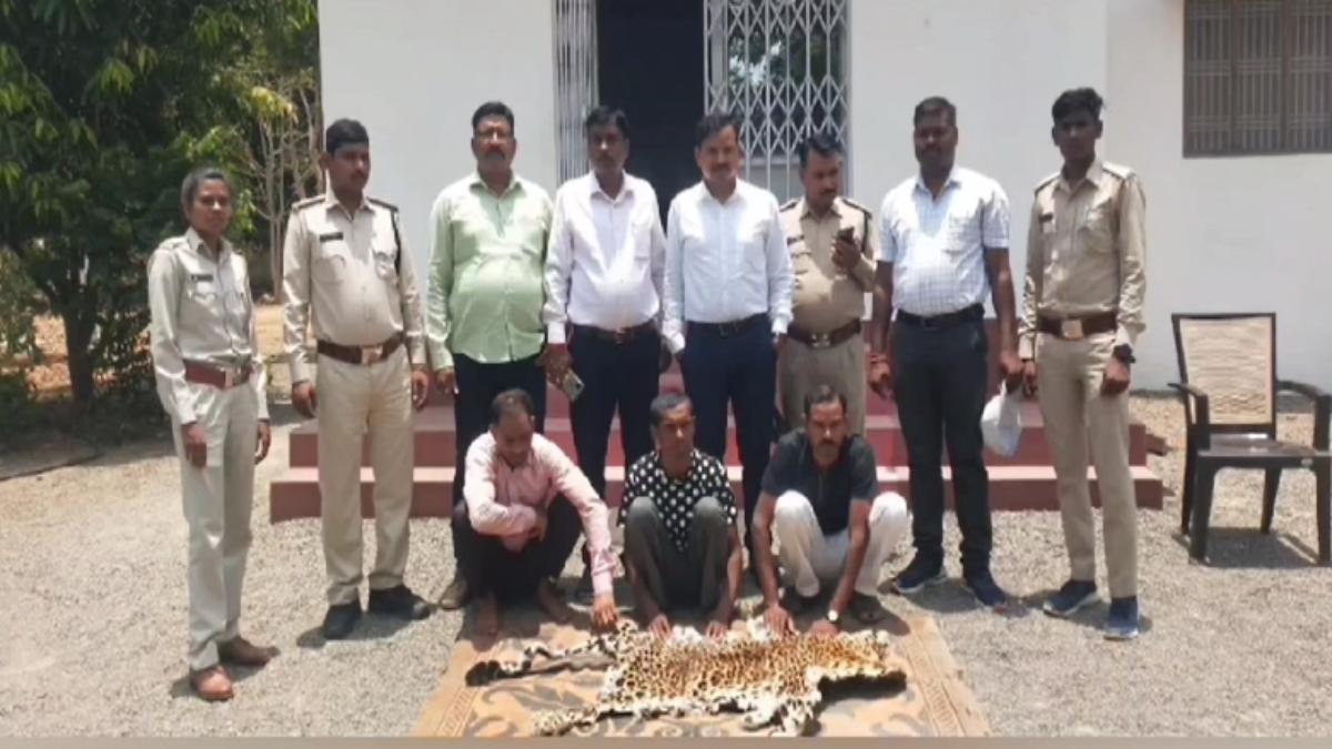CG BREAKING: तेंदुए की खाल के साथ 3 तस्कर गिरफ्तार, Wild Life Crime Control के इनपुट पर एक्शन