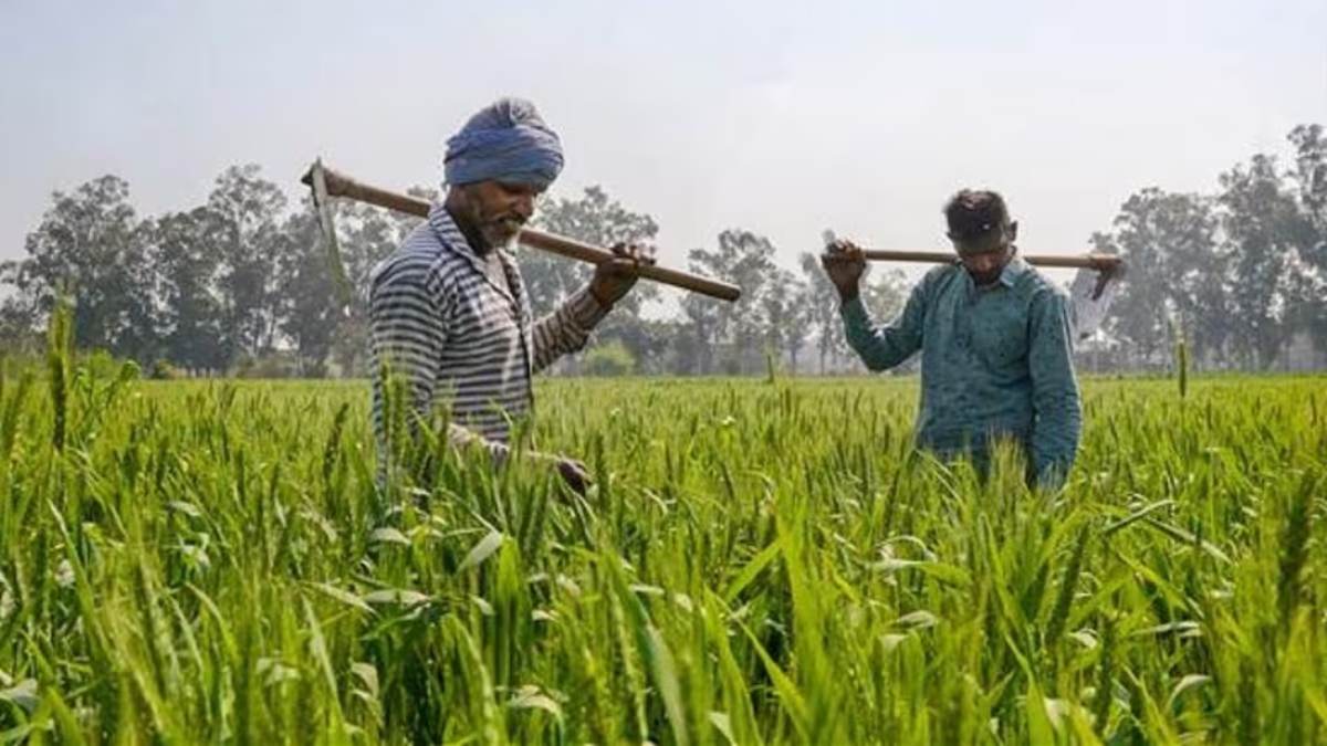 सभी भूस्वामी को मिलेंगे निःशुल्क खसरा और बी-1, किसानों को प्रमाण पत्र सहित ऋण लेने में होगी सुविधा