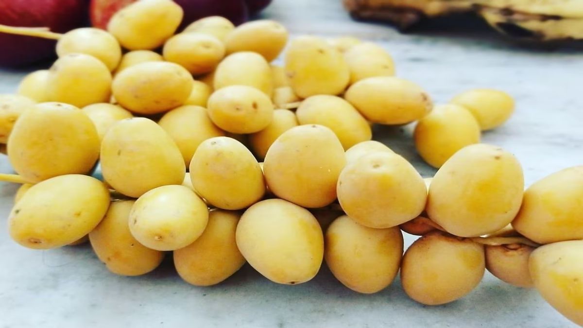 साल में एक बार जरूर खाना चाहिए कच्चे खजूर, वजन कम करने में फायदेमंद, इस फल में है मिनरल्स का खजाना