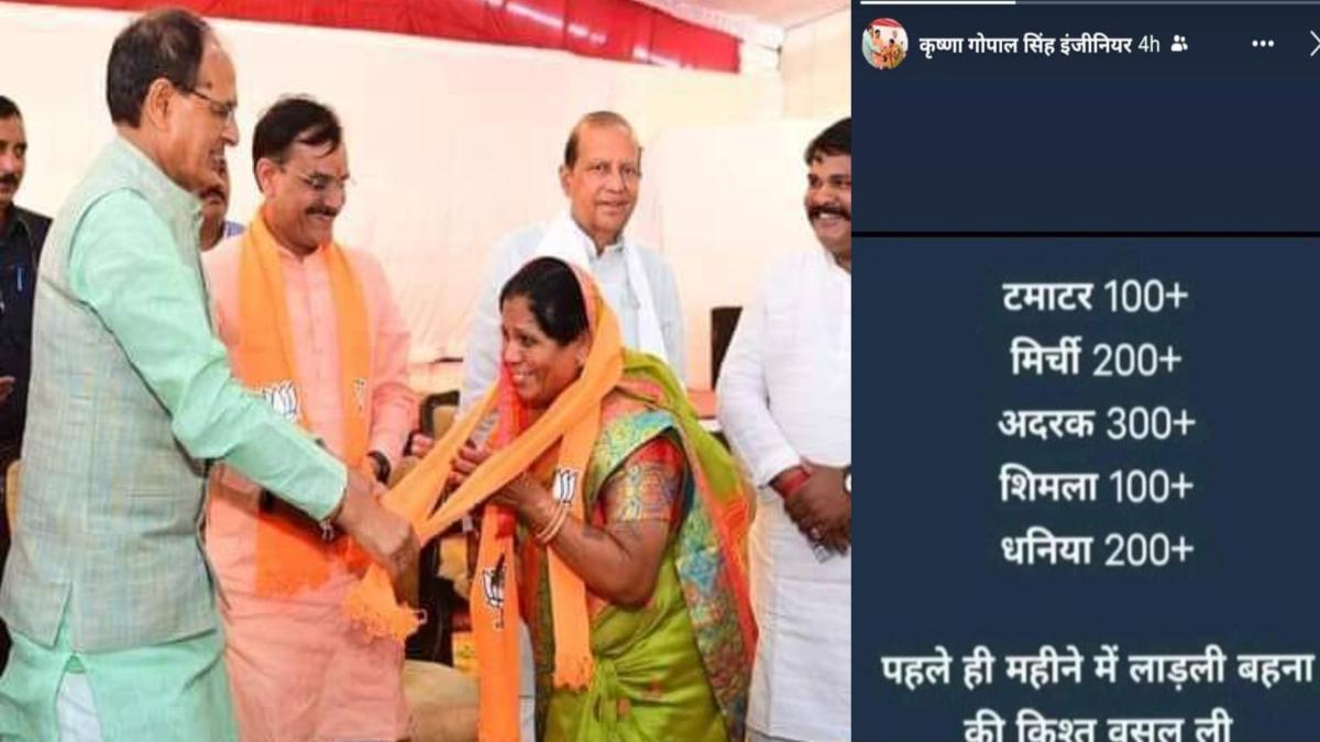 BJP नेत्री ने महंगाई को लेकर अपनी ही सरकार को घेरा: सोशल मीडिया पोस्ट में लिखा- पहले ही महीने में लाडली बहना योजना की किश्त वसूल ली, कांग्रेस ने ली चुटकी