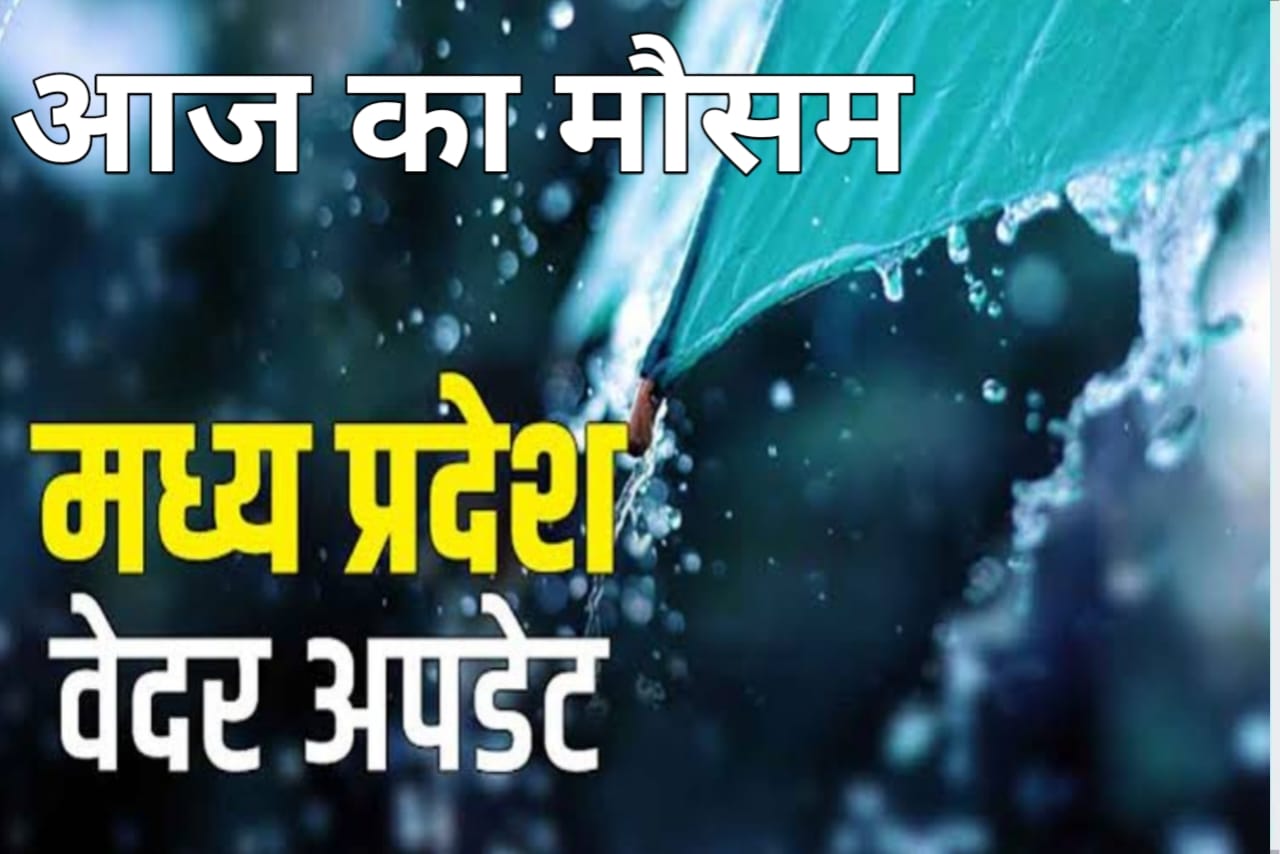MP Weather: 5 दिन बाद फिर मानसून सक्रिय, प्रदेश के इन जिलों में होगी भारी बारिश, हैवी रेन का अलर्ट जारी