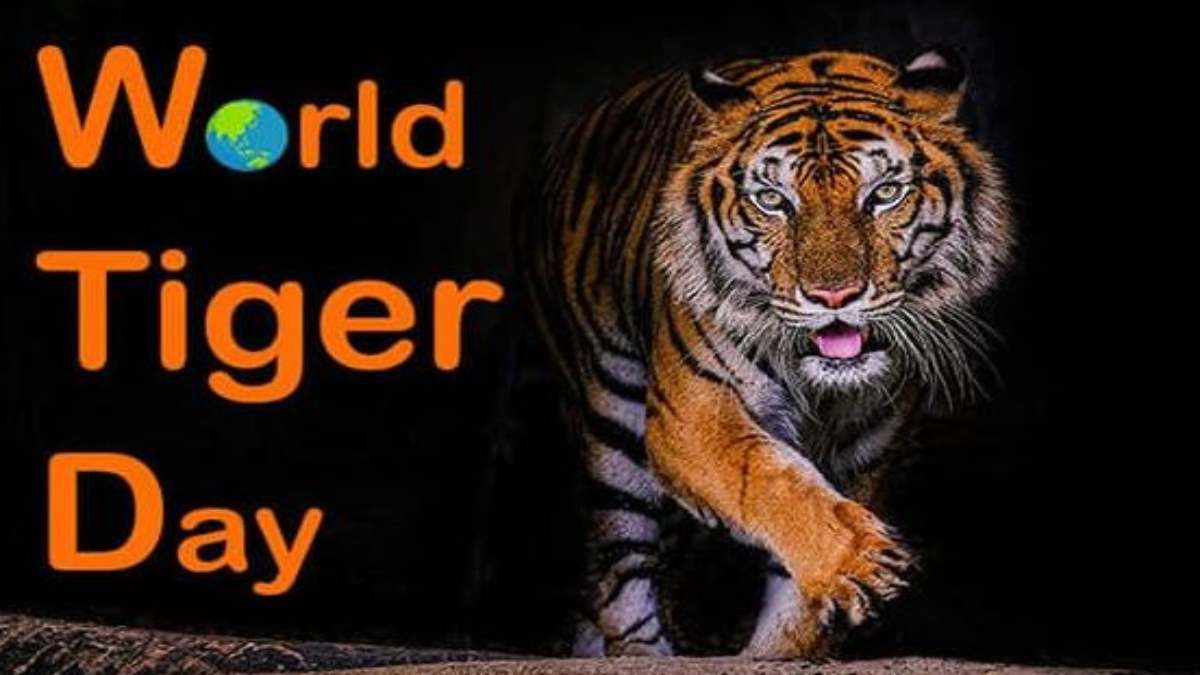 World Tiger Day: बाघ गणना के आएंगे आंकड़े, एमपी को एक बार फिर मिल सकता है टाइगर स्टेट का तमगा