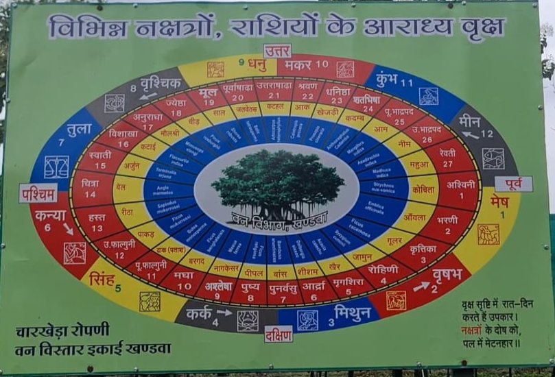 MP वन विभाग की अनोखी नर्सरीः यहां राशियों के अनुसार तैयार हो रहे 27 नक्षत्रों के 27 प्रजाति के पौधे