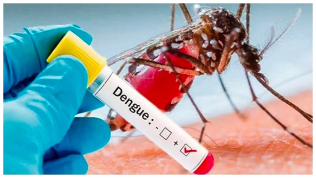 दिल्ली में बाढ़ के बाद डेंगू का अलर्ट घोषित…