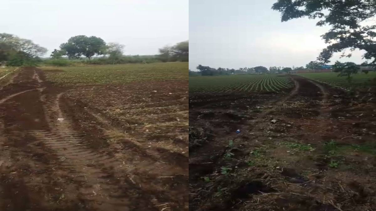 उज्जैन में प्रशासन की मनमानी! बिना नोटिस दिए खड़ी फसल किया नष्ट, किसान ने खा लिया जहर, हालत गंभीर