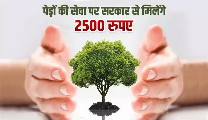 Pran Vayu Devata Yojana: पेड़ों को भी मिलेगी पेंशन… हर महीने आपके खाते में आएंगे 2500 रुपये