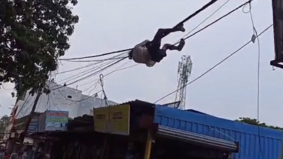 बड़ा हादसा टला: पुलिस से बचने बिजली लाइन पर झूला युवक, वायरल हुआ VIDEO 