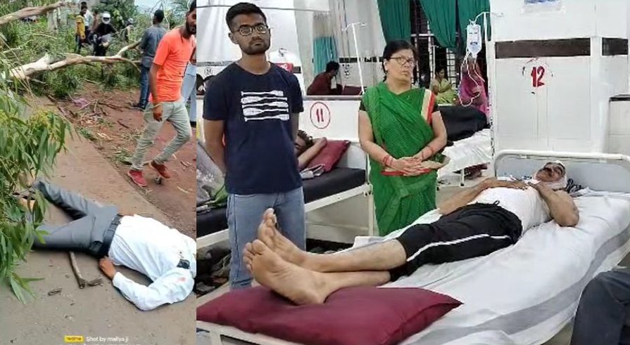 MP में दो शिक्षक हादसे के शिकारः रायसेन में चलती बाइक पर गिरा भारी भरकम पेड़, एक की मौत, एक गंभीर
