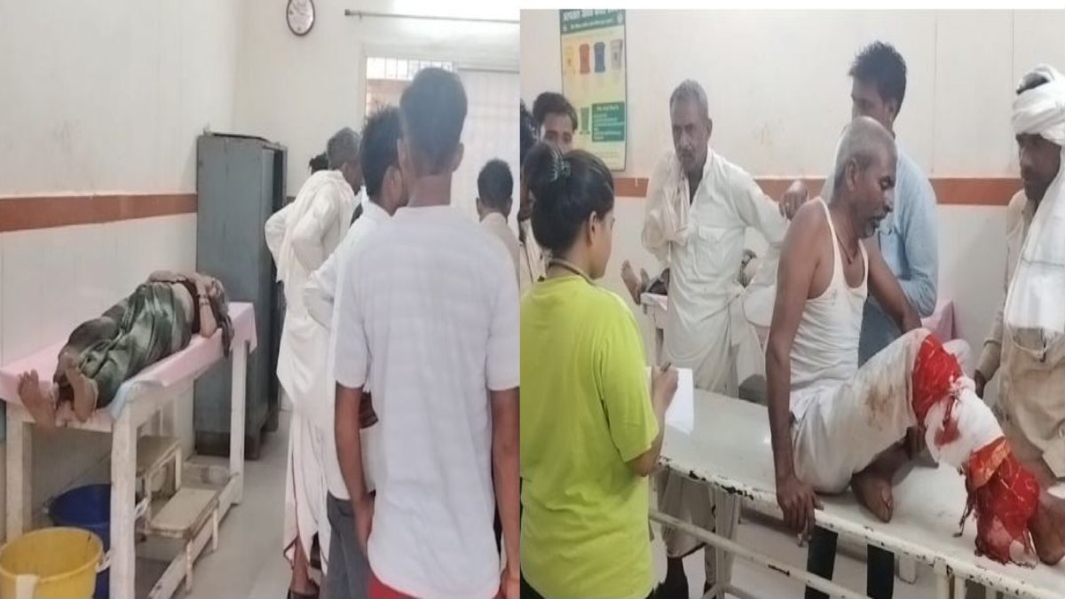 MP सड़क हादसाः इंदौर में खड़े ट्रक से टकराई बस, चालक की मौत, मुरैना में बस और मालवाहक में टक्कर से एक ही परिवार के डेढ़ दर्जन लोग घायल, सभी भर्ती