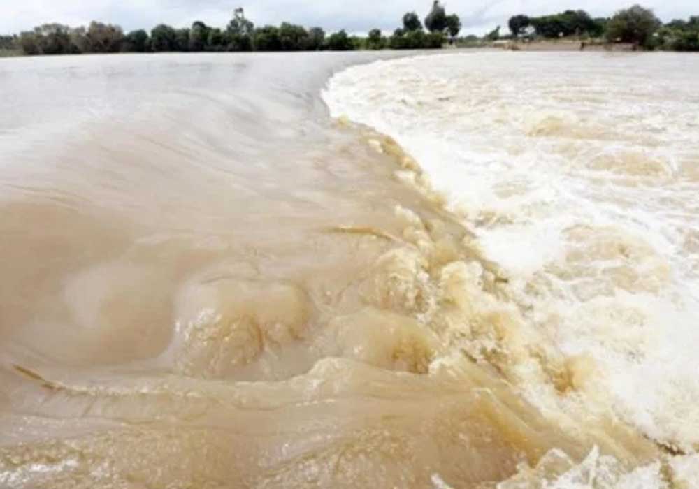 बधिर भारतीय नागरिक सतलुज नदी के बाढ़ के पानी से बहकर पाकिस्तान पहुंचा