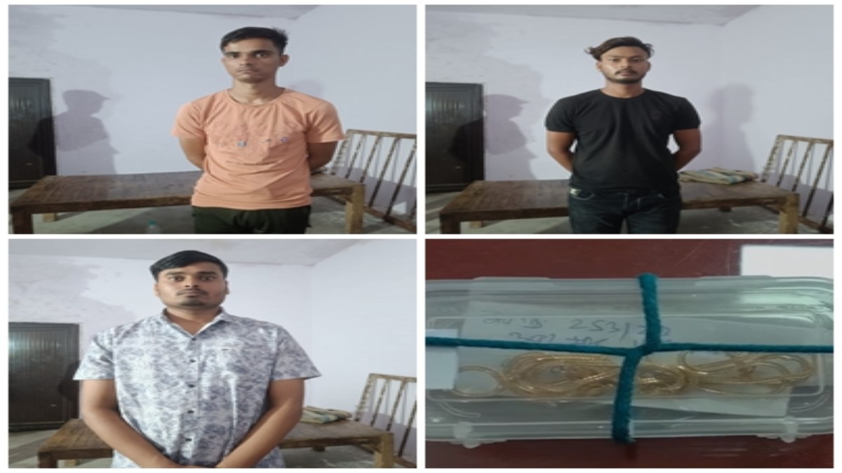 कलेक्टर की पत्नी से लूट का मामला: पुलिस ने दो आरोपियों को किया गिरफ्तार, तीन अब भी फरार, तलाश जारी