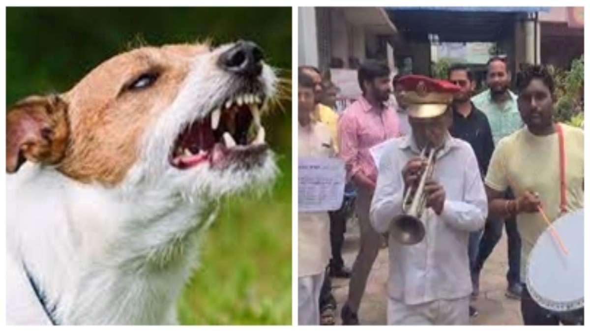 नेता प्रतिपक्ष को आवारा कुत्तों ने काटा: पार्षदों का फूटा गुस्सा, बैंड, बाजा, शहनाई लेकर किया निगम का घेराव  