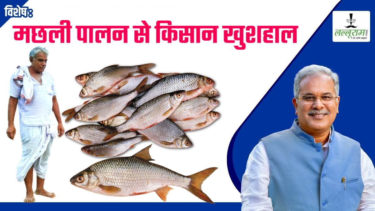 विशेष- मछली पालन से किसान खुशहाल: डबरी खनन कर Fish Farming और साग-भाजी उत्पादन, 4 एकड़ की जमीन में खेती से खुले तरक्की के द्वार, भूपेश सरकार ने बढ़ाई आमदनी की रफ्तार
