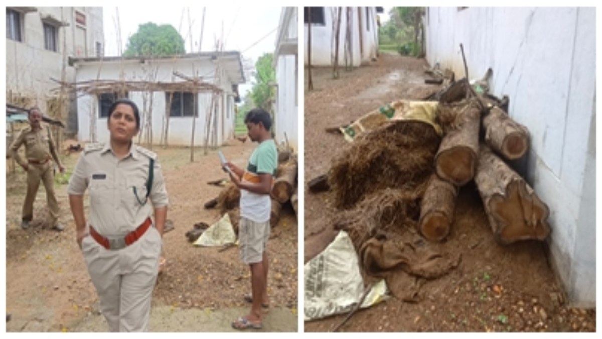 एसडीओ के घर के बाजू में मिले 13 नग कीमती सागौन के गोले: बिना अनुमति कटवाने और परिवहन का आरोप, वन विभाग ने की कार्रवाई  