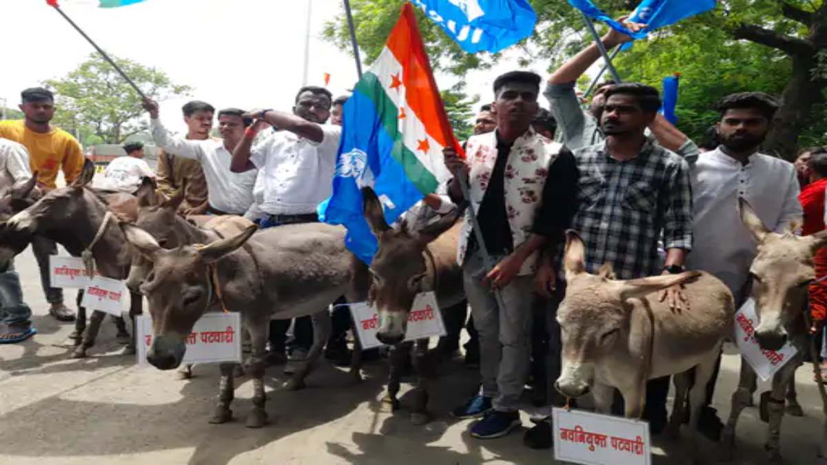 MP में गधों को दिलाई पटवारी पद की शपथ: गले में तख्ती लटका कर तहसील पहुंचे NSUI कार्यकर्ता, सरकार के खिलाफ नारेबाजी कर परीक्षा रद्द करने की मांग