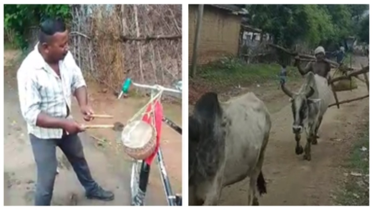 MP: सरपंच-सचिव ने मुनादी कराकर जारी किया तुगलकी फरमान, जानवर खुले में छोड़े तो पड़ेंगे पांच जूते और होगा पांच सौ रुपये का जुर्माना, ग्रामीणों ने खोला मोर्चा  