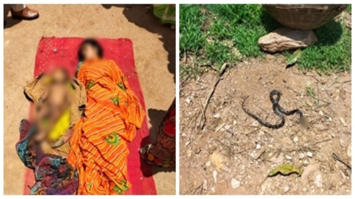 सर्पदंश से मौत: जहरीले सांप ने मां और मासूम बेटे को ऐसा डसा कि दोनों सो गए मौत की नींद, घर में पसरा सन्नाटा 