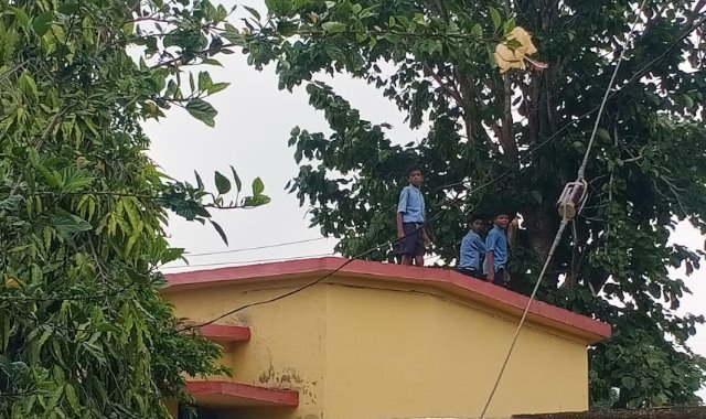 वाटिका बनाने का ऐसा जुनून, छात्रों की जान जोखिम में डालकर शिक्षक कटवा रहे बड़े-बड़े पेड़, डीईओ ने कहा नहीं है जानकारी…