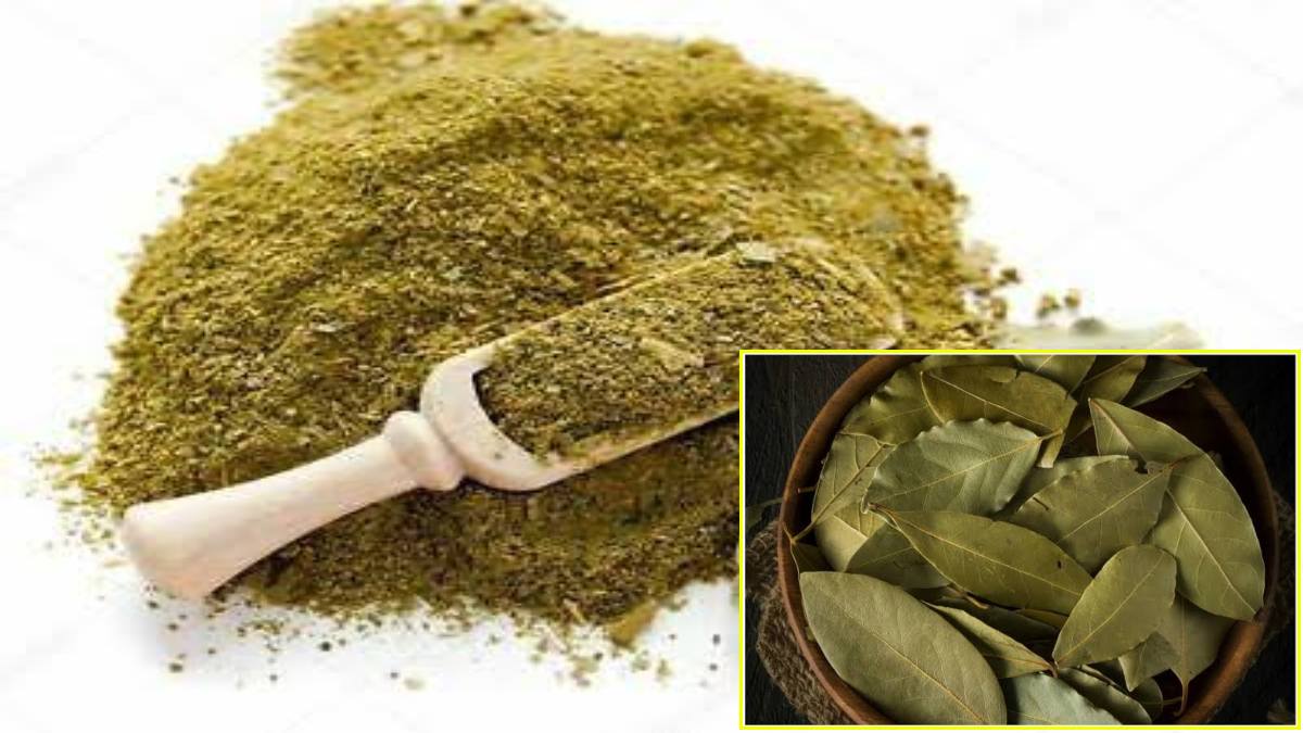 Skin and Hair Care Tips: झुर्रियां और पिंपल्स से छुटकारा दिलाए तेजपत्ता, बालों को भी बनाए खूबसूरत, ऐसे करें इस्तेमाल