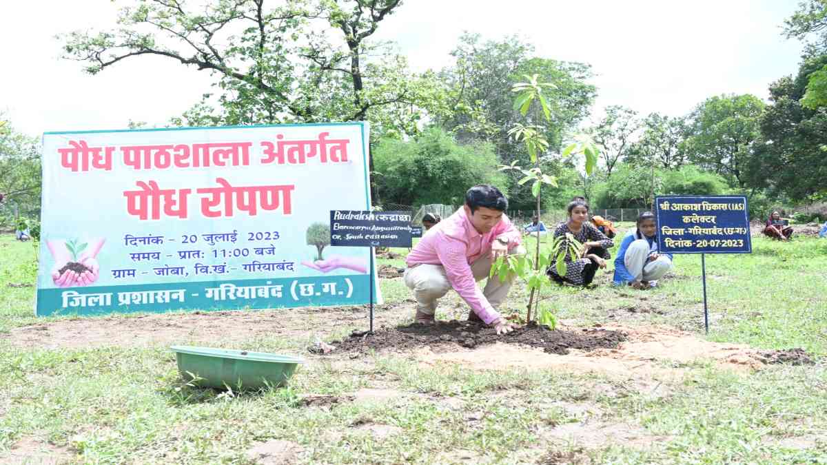 CG में पौध पाठशाला का शुभारंभ: A FOR…एवोकाडो, B FOR…बॉटल पाम, C FOR…चेरी, यहां बच्चों को मिलेगी 212 दुर्लभ प्रजाति के पौधों की जानकारी