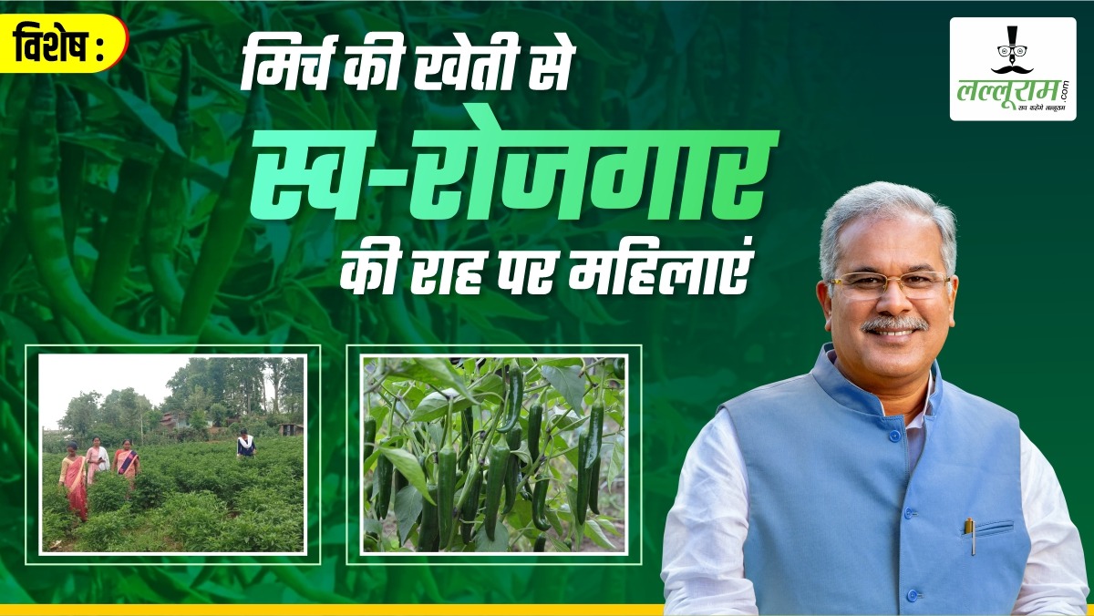 विशेष- मिर्च की खेती से जिंदगी में खुशहाली: उजाला स्व-सहायता समूह की महिलाएं खेती से कर रहीं मोटी कमाई, जानिए तीखी मिर्च से कैसे घुल रही जिंदगी में मिठास ?