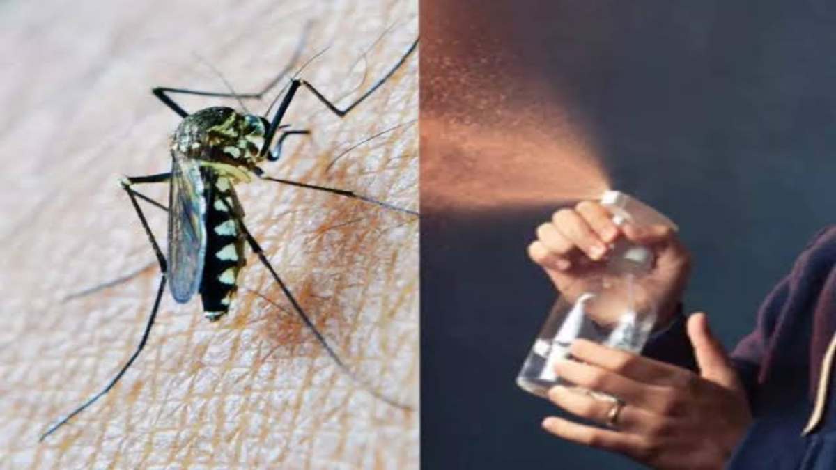 Mosquito Repellent Spray : मच्छर भगाने के लिए घर पर ही बनाएं Spray, यहां जानें बनाने की विधि …
