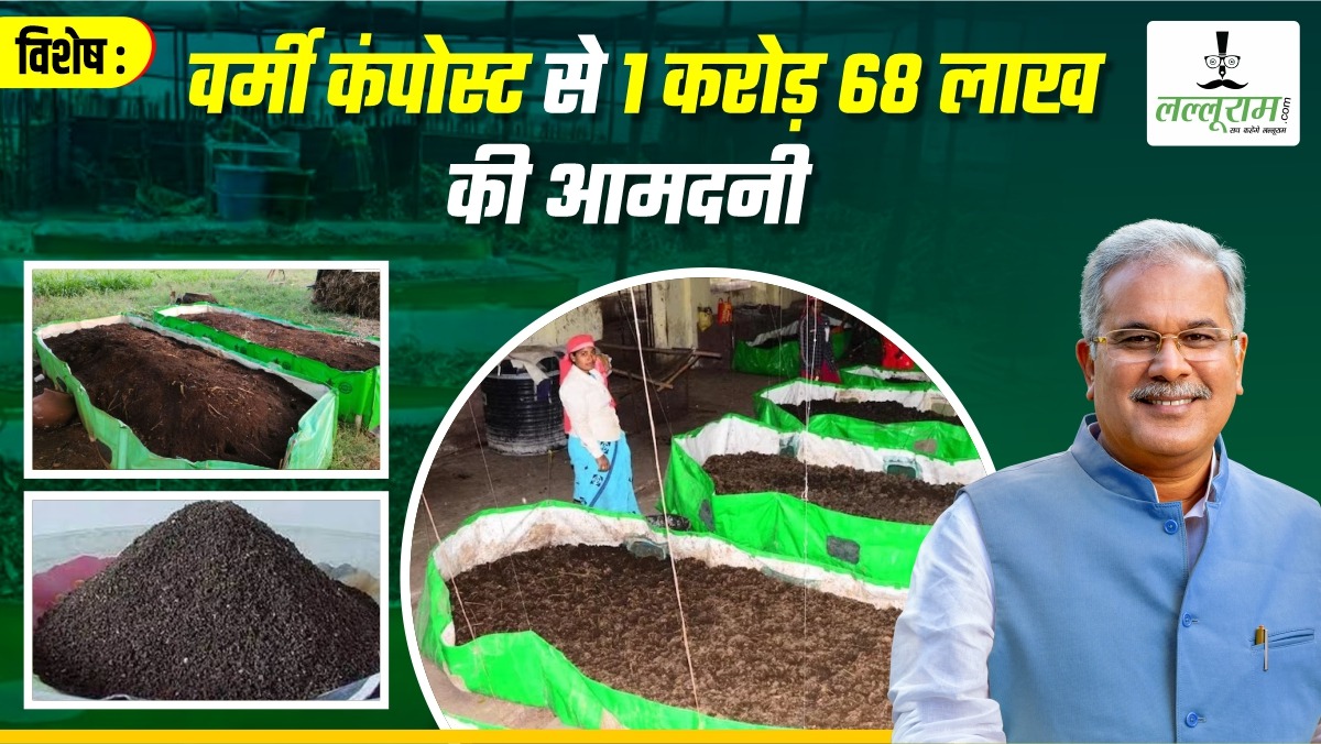 विशेष- गोधन न्याय योजना से गौठान में कमाई: जगदलपुर में 70 हजार क्विंटल वर्मी कंपोस्ट खाद का उत्पादन, स्व सहायता समूहों को 1 करोड़ 68 लाख की आमदनी