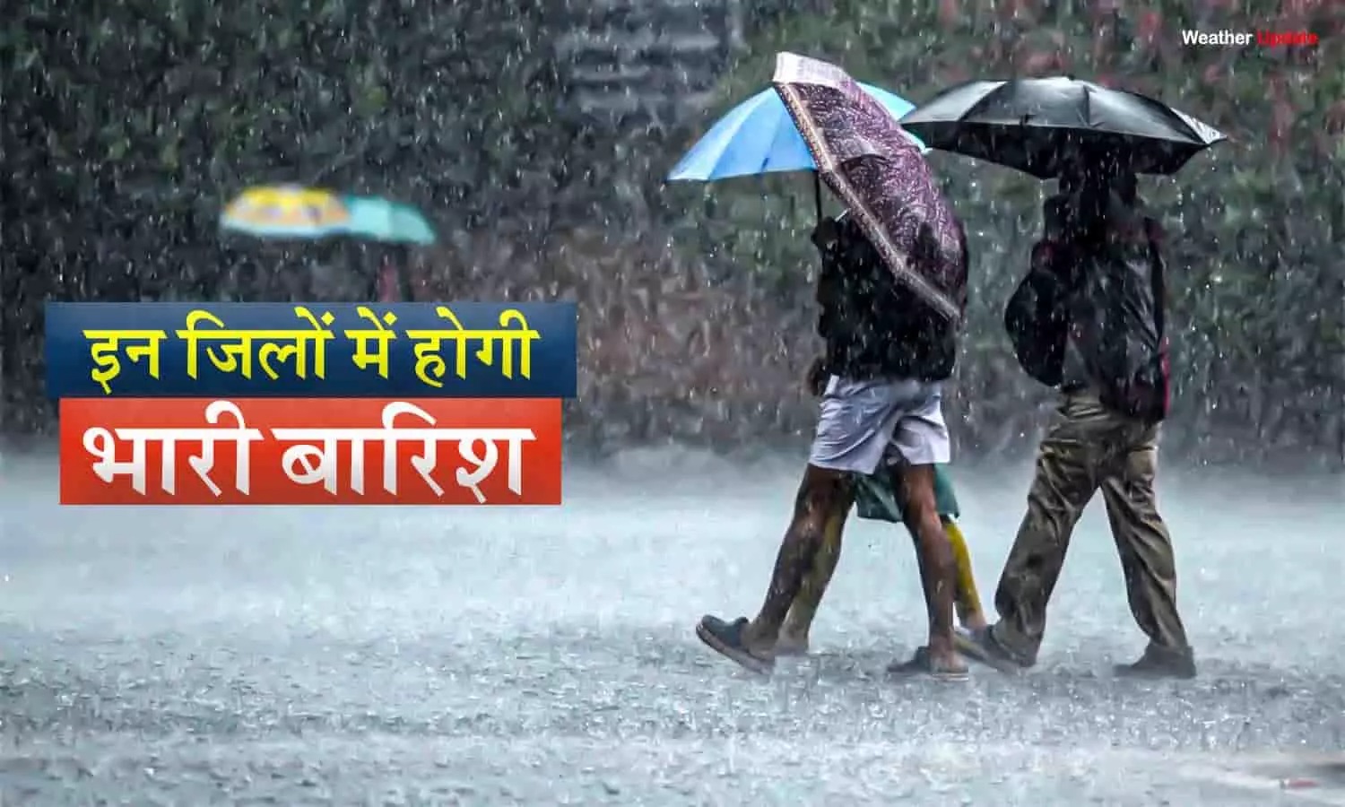 MP WEATHER UPDATE: मध्यप्रदेश में मेहरबान हुआ मानसून, मौसम विभाग का नया पूर्वानुमान, दर्जन भर से अधिक जिलों में भारी बारिश की संभावना