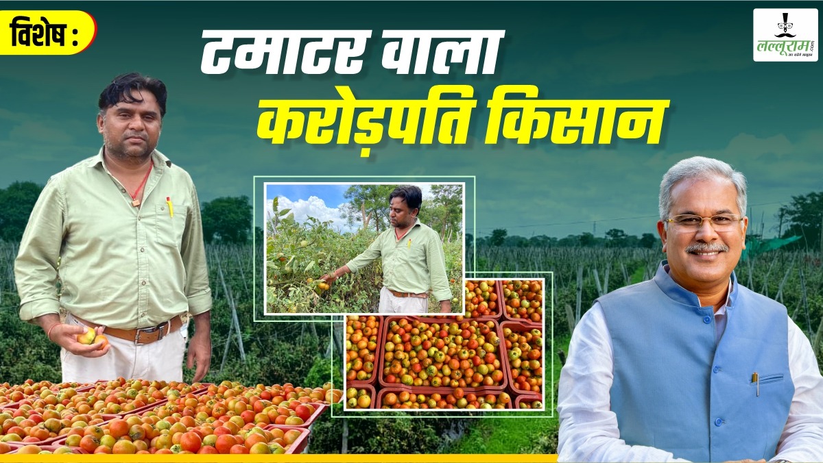 विशेष- CG के अमीर किसान की कहानी: 150 एकड़ में टमाटर की खेती, महीने में करोड़ों की कमाई, 500 मजदूरों को रोजगार, भूपेश सरकार से लाखों की सब्सिडी, जानिए कैसे करोड़पति बना किसान ?