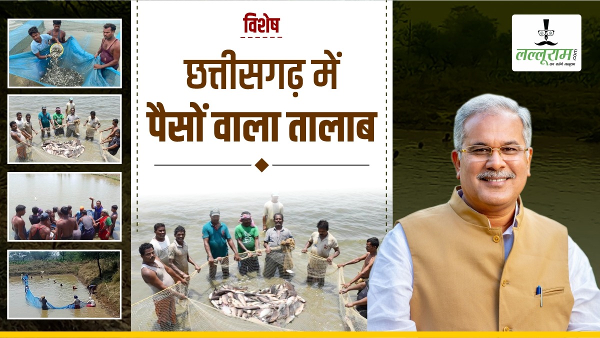 विशेष- मछली पालन से लौटी खुशहाली: बघेल सरकार की योजनाएं बरसा रहीं धन, बालोद की महिलाएं हो रहीं खुशहाल, पढ़िए जय मां दुर्गा समूह की सफल कहानी