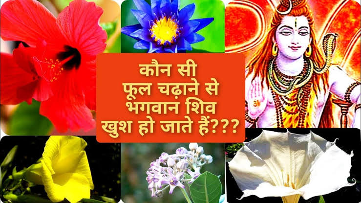 भगवान भोलेनाथ को बहुत प्रिय हैं ये सभी फूल, यहां जाने किस मनोकामना के लिए कौन सा फूल चढ़ाएं …
