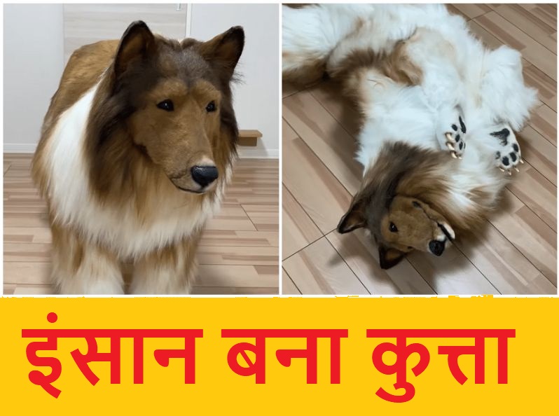 Toko Dog Man : 18 लाख रूपए खर्च कर इंसान बना कुत्ता, देखें Video…