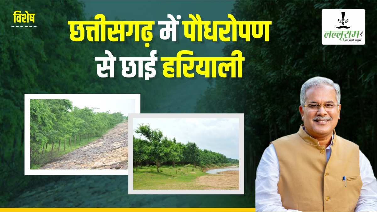 विशेष- पौधरोपण से लौटी हरियाली: 47 लाख पौधों से 40 नदियों का तट हुआ हरा-भरा, 4 हजार से अधिक हेक्टेयर रकबा में रोपे गए पौधे