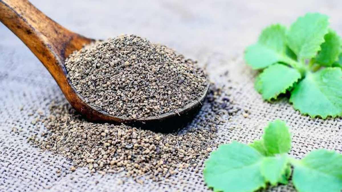 अजवाइन के फायदे : इसकी सुगंध बढ़ाती है भूख, खाना पचाने में भी है हेल्पफुल, जानिए अजवाइन की पत्तियों के फायदे …