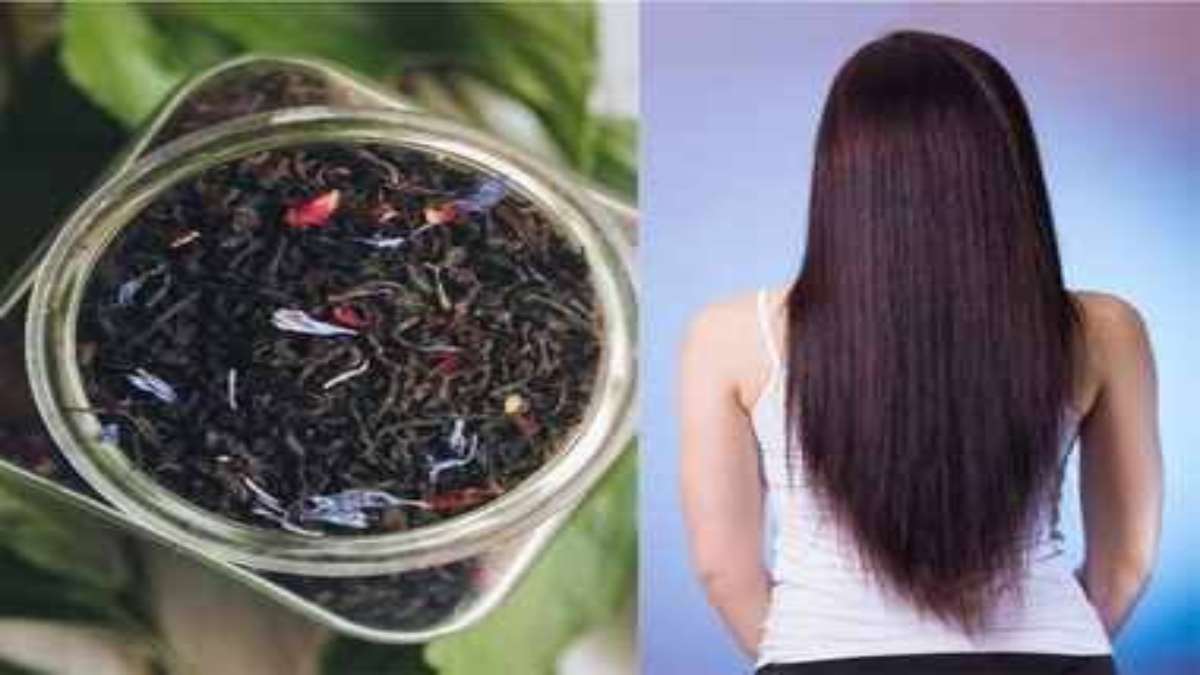 Hair care tips : तेजी से झड़ते बाल करें ठीक, बालों के लिए चायपत्ती और इसका पानी है वरदान, सफेद बालों को भी करे …