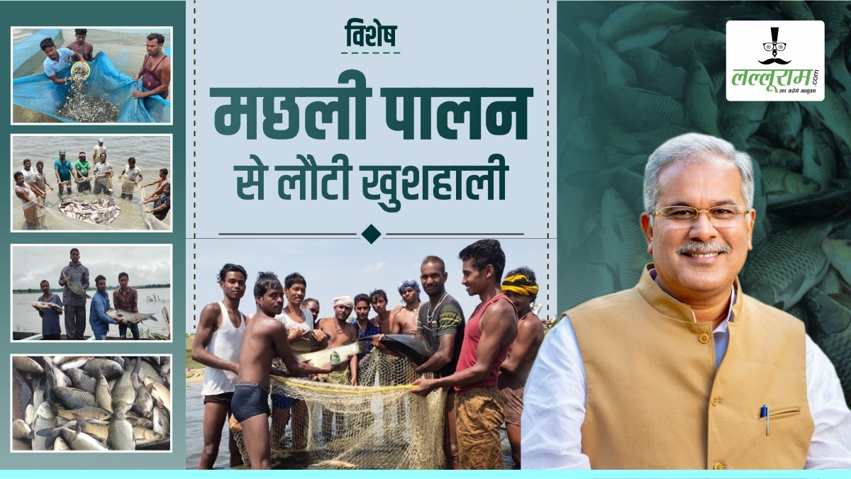 विशेष- मछली पालन से बदली तकदीर और तस्वीर: कोसगाई दाई मछुआ सहकारी समिति की बढ़ी आमदनी, कम समय में कमाए 3 लाख, पढ़िए खुशहाल कहानी