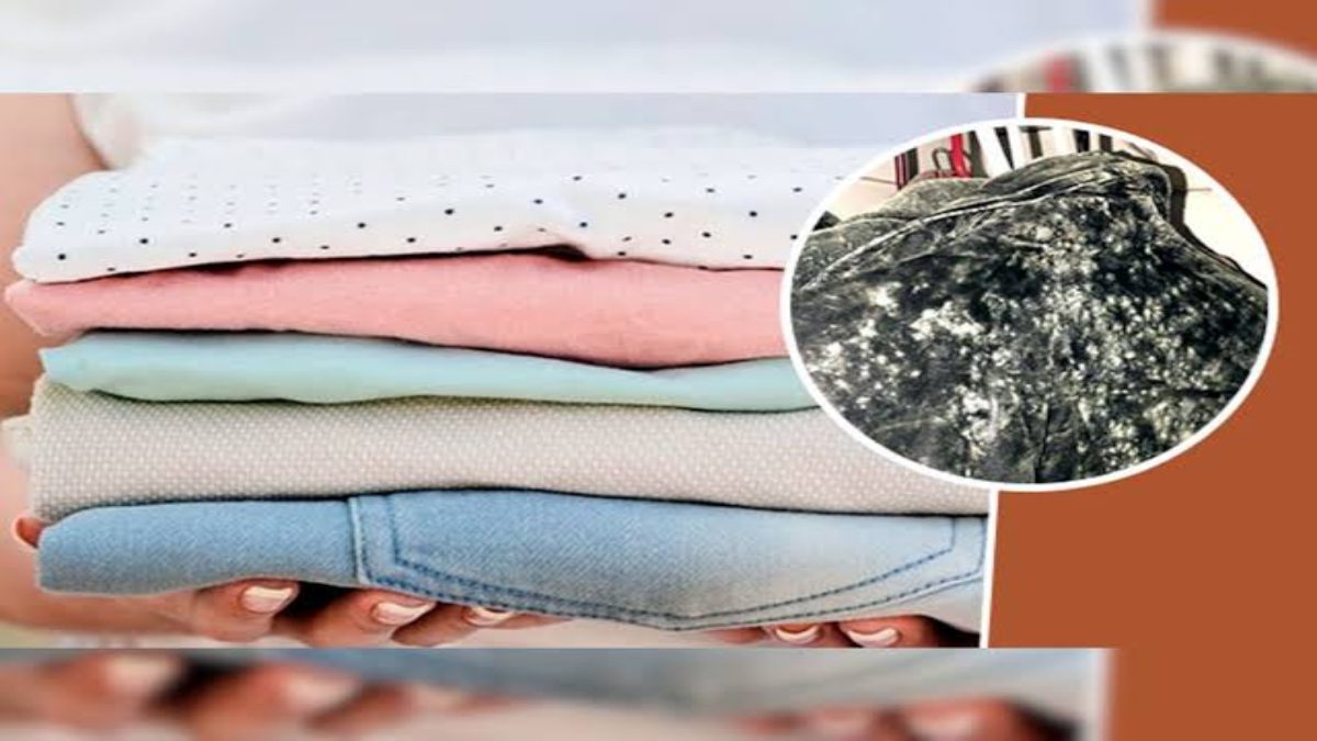 Mansoon Tips : बारिश में कपड़ो, जूते और पर्स में लग जाती है फंगस ? इस तरह दूर करें