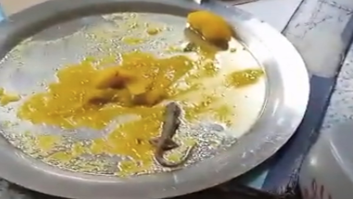 थाली में परोसी गई मौत : मेडिकल कॉलेज में मरीज के खाने में मिली मरी छिपकली, मचा हड़कंप