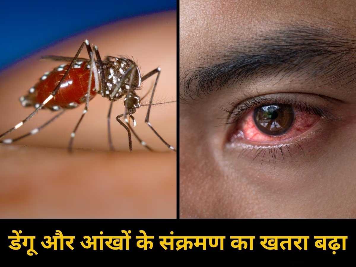 Bhopal News: आई फ्लू के बाद शहर में डेंगू का कहर, पिछले साल से दोगुना मरीज आए सामने, जानें कौन से इलाके हैं सबसे प्रभावित