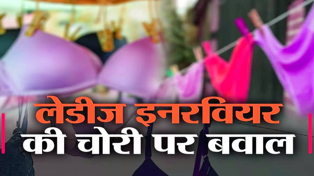 अजीब चोर है… 8 महीने से अंडरगारमेंट्स चोरी, चोर को पकड़ने महिला ने लगवाया CCTV कैमरा, फिर जो सच सामने आया जानकर उड़ जाएंगे होश…
