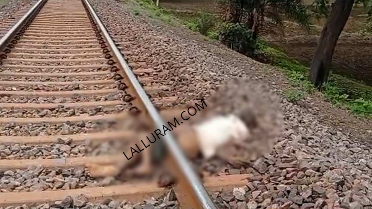 CG BREAKING: ट्रेन से कट कर बुजुर्ग की मौत, टुकड़ों में बंट गया शरीर