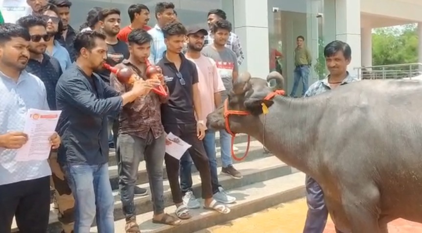 भैंस के आगे बीन बजाकर विरोधः परिणाम घोषित नहीं होने से नाराज है नर्सिंग और पैरामेडिकल के स्टूडेंट्स, दी ‘परीक्षा नहीं तो वोट नहीं’ की चेतावनी