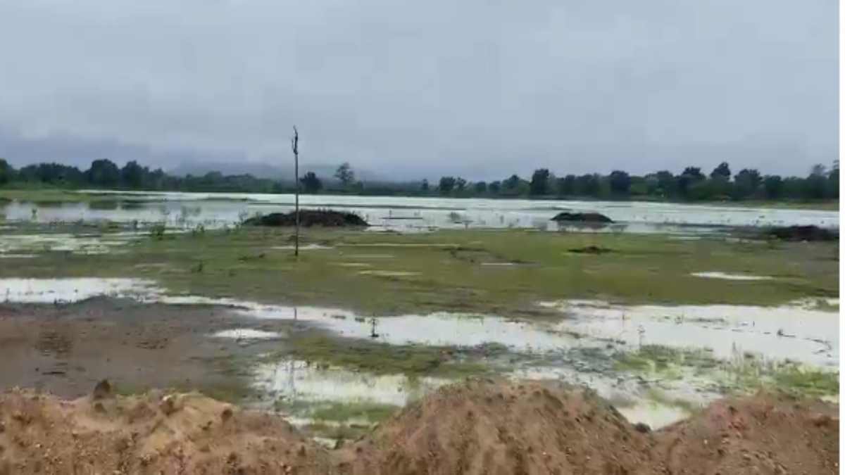 बारिश में तालाबों की दुर्दशा : मानसून में हो रहा सौंदर्यीकरण का काम, भरी बरसात में तालाब प्यासा, जिम्मेदार मौन