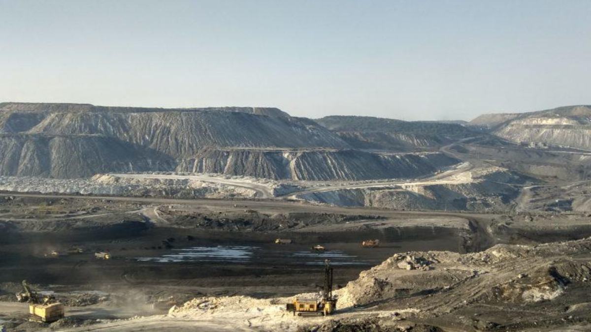 हसदेव अरण्य को बचाने राज्य सरकार संकल्पित, सुप्रीम कोर्ट में पेश किया नया शपथ पत्र, निर्णय का हो रहा स्वागत