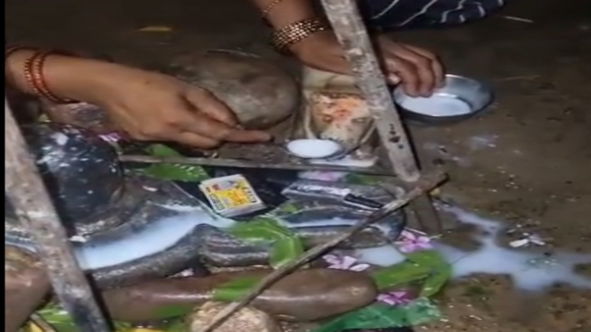 आस्था या अंधविश्वास : नंदी की मूर्ति के दूध पीने की उड़ी अफवाह, लोटा, कटोरी और चम्मच लेकर पहुंची भारी भीड़