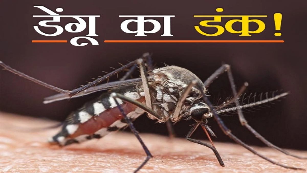 भोपाल में डेंगू का कहर: संक्रमितों की संख्या 100 के पार, 2 लोगों की मौत, दो महीने में तेजी से बढ़ी मरीजों की संख्या