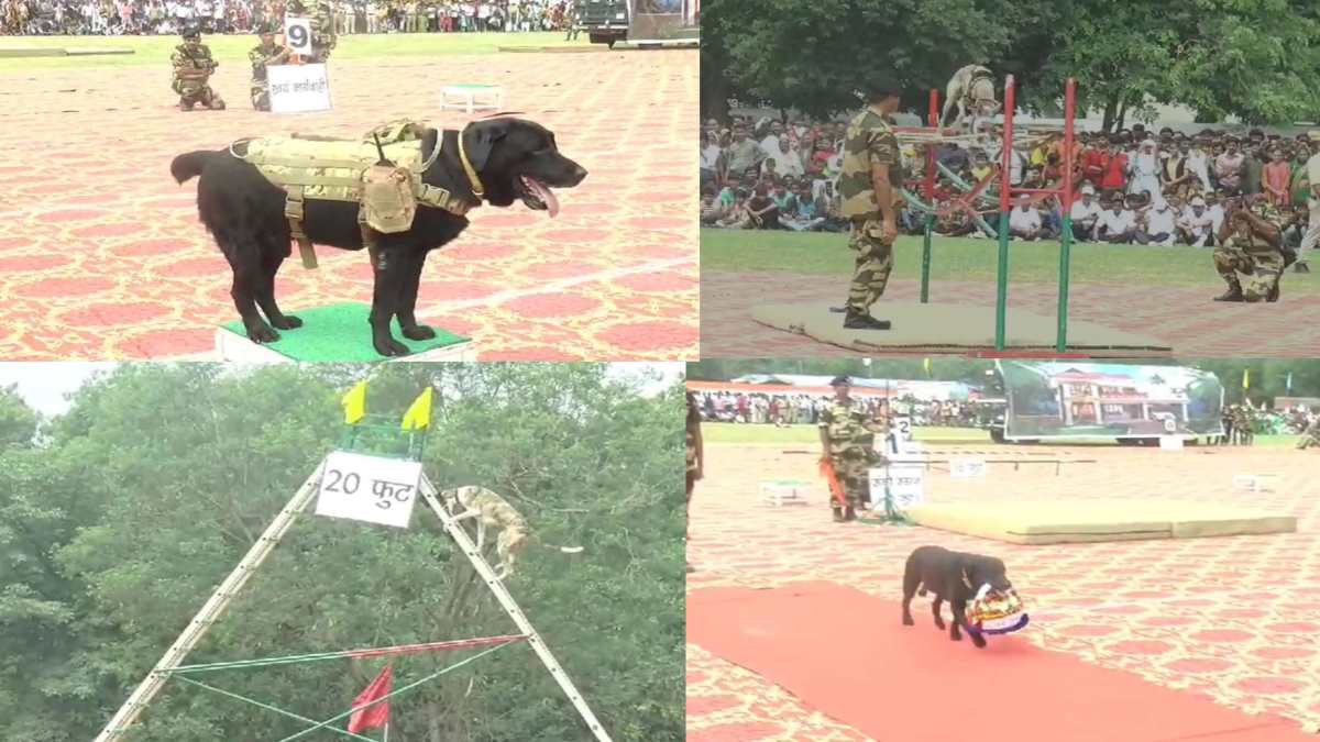 Independence Day 2023: देश के इकलौते BSF श्वान ट्रेनिंग सेंटर के डॉग्स ने दिखाए बेहतरीन करतब, देखते रह गए लोग