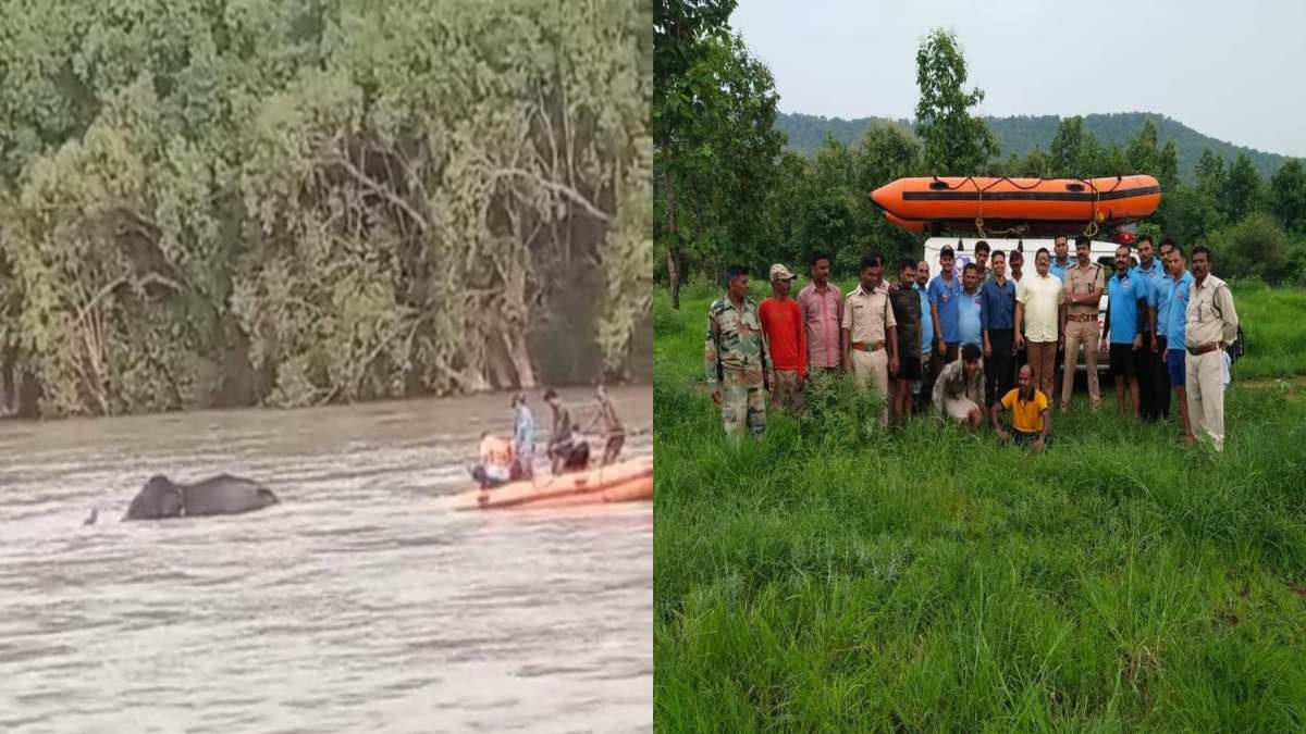 हथिनी अनारकली का रेस्क्यू, VIDEO: केन नदी की तेज धार में फंसी थी हथिनी, घंटों मशक्कत के बाद SDRF और होमगार्ड ने निकाला बाहर